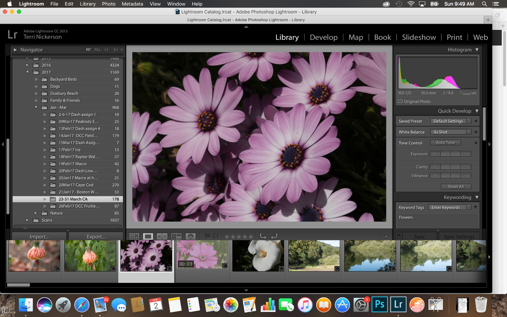 Screen Shot 2017-04-02 at 9.49.29 AM.png